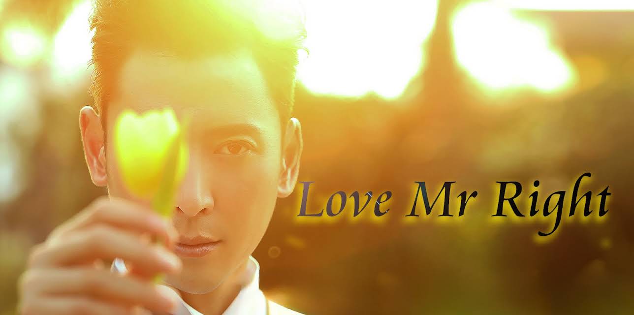 Love Mr Right