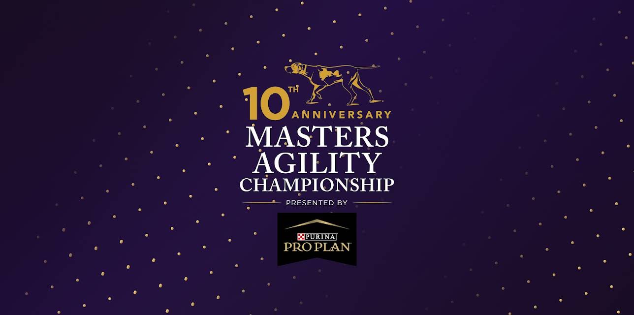 THE MASTERS AGILITY CHAMPIONSHIP AT WESTMINSTER Season 12