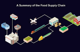 Where Our Food Really Comes From: From Farm to Table to Feeding the World