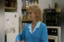 Growing Pains: The Complete First Season: The Seavers Vs. The Cleavers