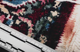 Buried in the Backyard, Season 1: Killer by the Coast