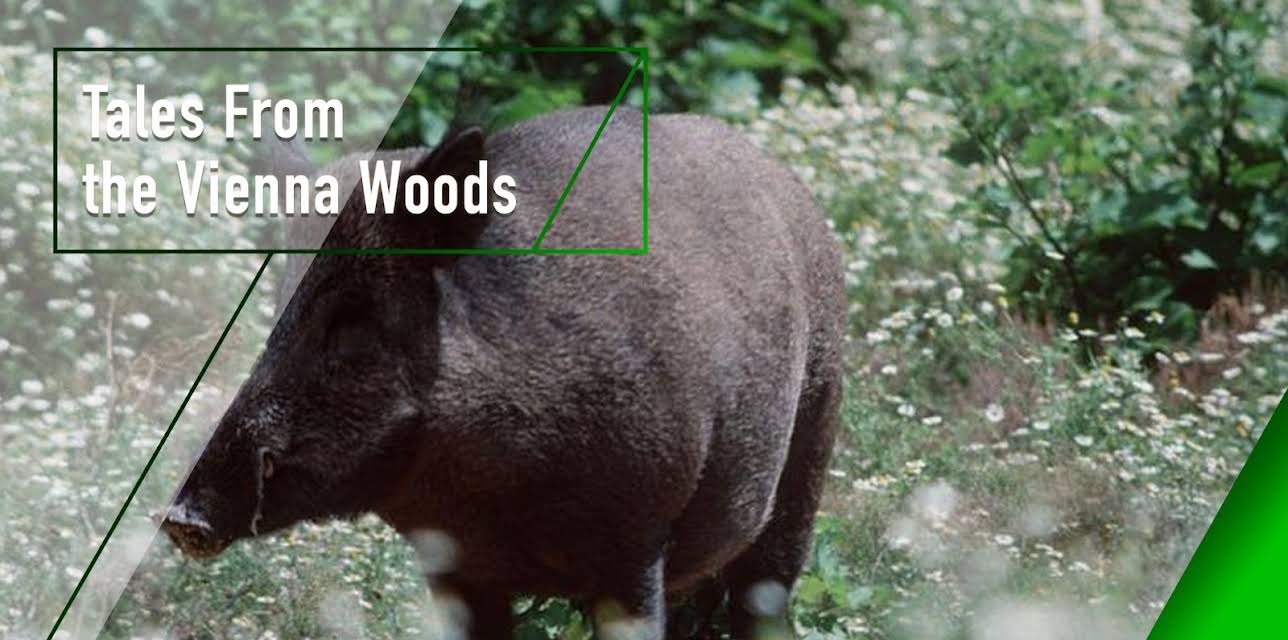 Tales from the Vienna Woods (1999)