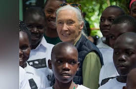 The Uplift: Season 2022: The Uplift: Jane Goodall and the joy of giving hugs