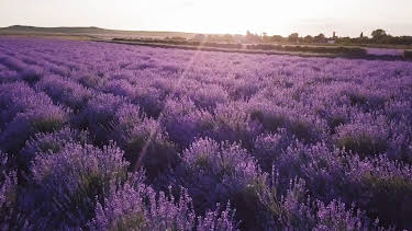 21:35: Im Flug über Südfrankreich | 3SAT | 4/8 2026