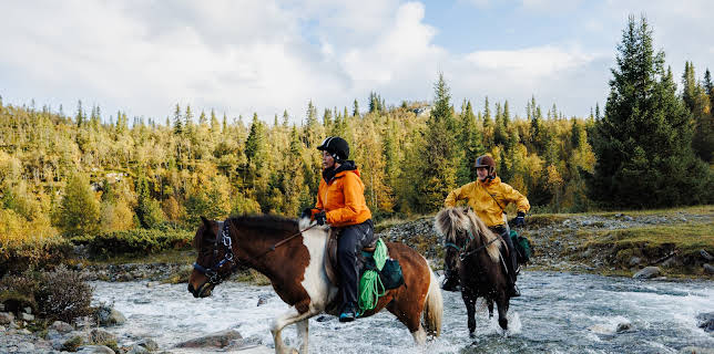 13:05: 71° nord - team (S5 E12) (S5) | TVNorge | 3/6 2026