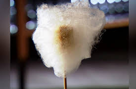 Unique Eats: Food Fantasy