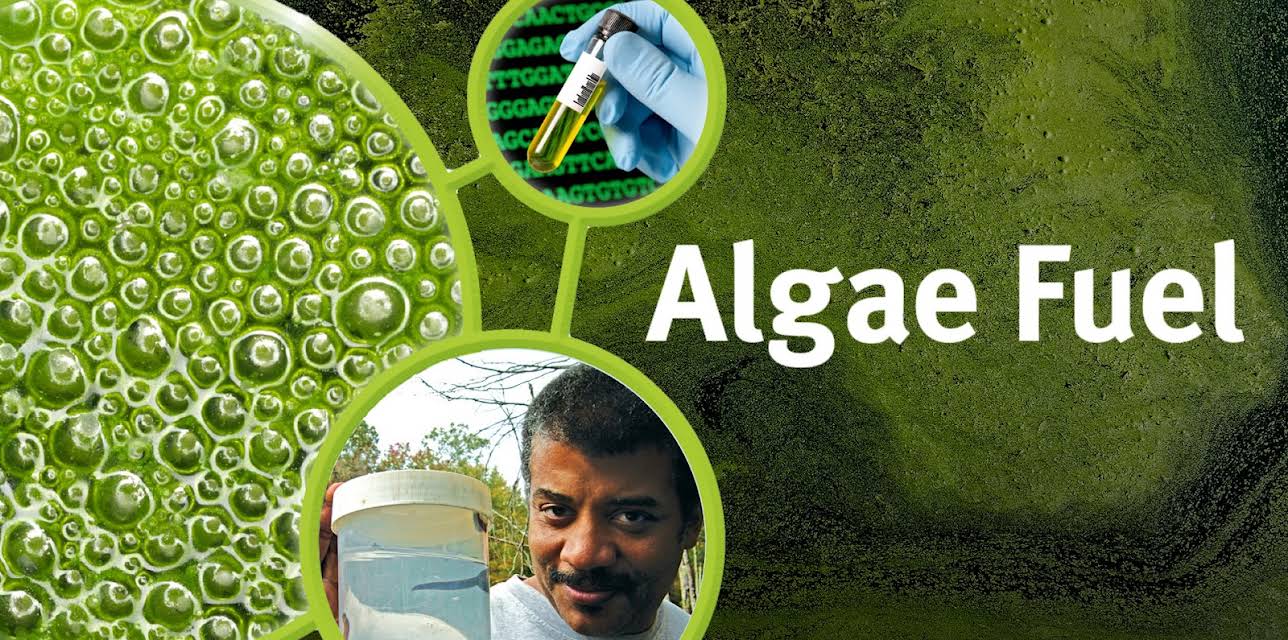 Algae Fuel (2009)
