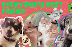 Animals Doing Things: Animals Doing Things | Everyone's Best Friend