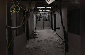 Generation Dead: The Walking Dead Fan Documentary, Season 1: Generation Dead