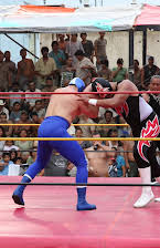 Stacy Perskie as Director