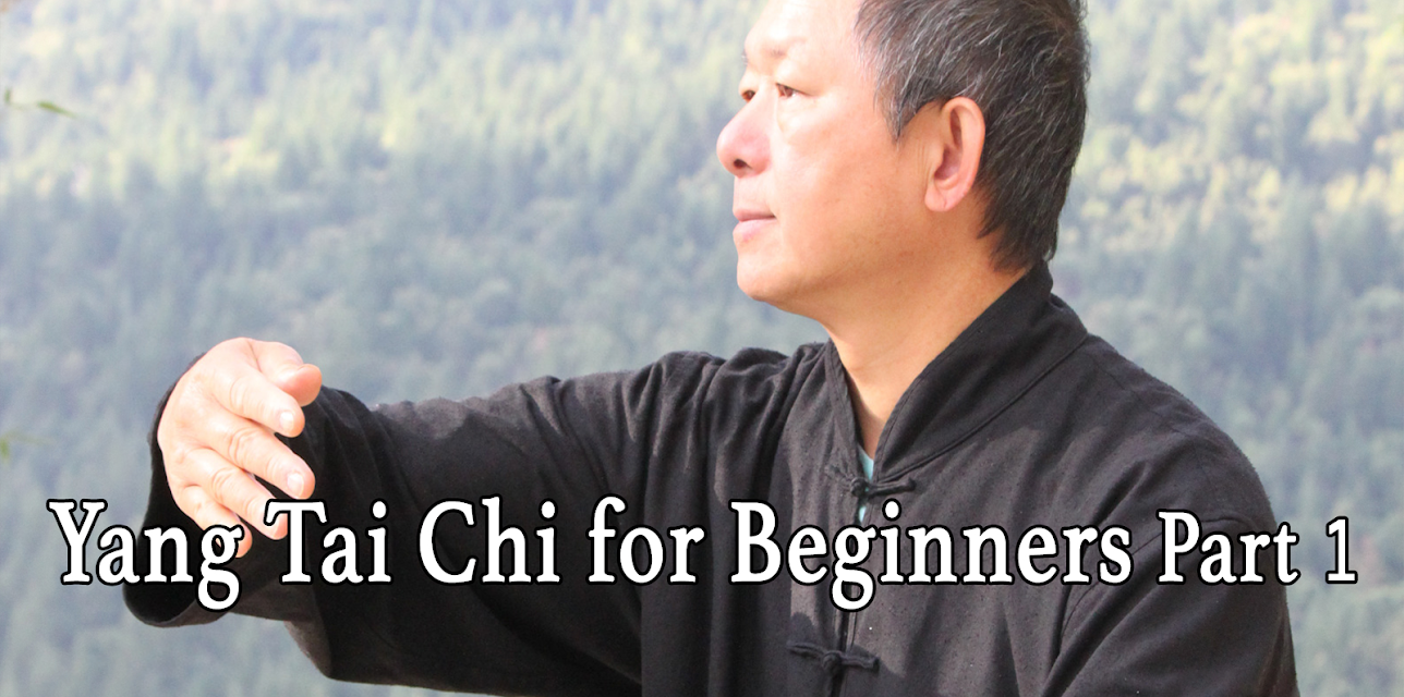 Yang Tai Chi for Beginners Part 1 (2015)