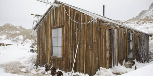 6:00 AM: Expedition X (S4) | Discovery Channel | 3/21 2026