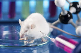 Your Deceptive Mind: A Scientific Guide to Critical Thinking Skills: Varieties and Quality of Scientific Evidence