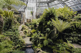 The Garden Chronicles: Morris Arboretum