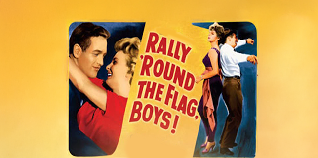 Rally 'round The Flag, Boys! (1958)