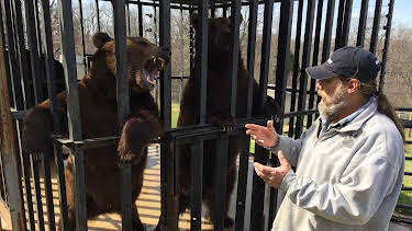 00:00: Project Grizzly (S1 E1) (S1) | Animal Planet | 4/3 2026