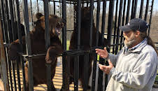 Project Grizzly (S1 E1)