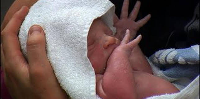 12:00 AM: One Born Every Minute (S8 E7) (S8) | W | 11/24 2025