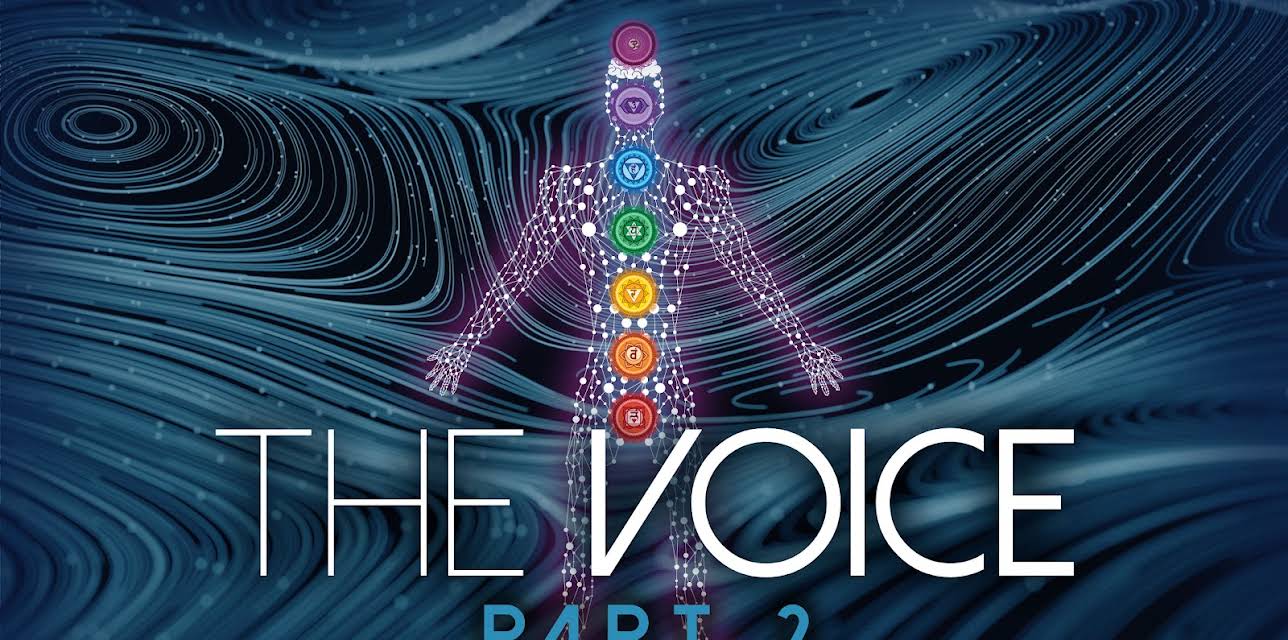 The Voice: Part 2 (2008)