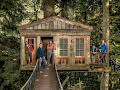 Treehouse Masters: Out On A Limb