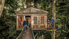 Treehouse Masters: Out On A Limb (S4 E6)