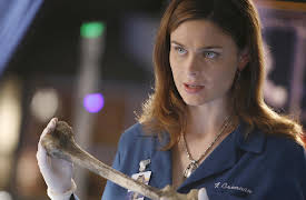 Bones: 11. The Woman in the Car