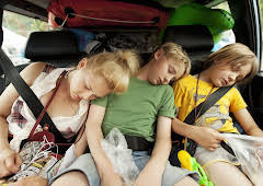 Sune på bilsemester