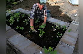 Yard Crashers Season 6: Chef's Special