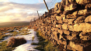 8:00 PM: Yorkshire: A Year in The Wild (S2 E4) (S2) | Channel 5 | 12/10 2025