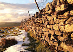 Yorkshire: A Year in The Wild