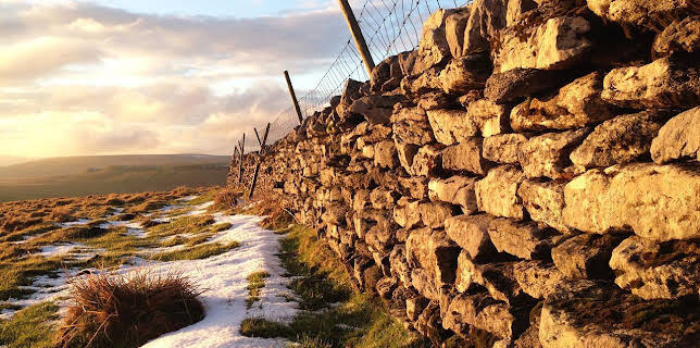 7:00 PM: Yorkshire: A Year in The Wild (S2 E4) (S2) | Channel 5 | 12/10 2025