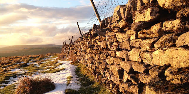 Yorkshire: A Year in the Wild