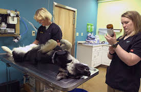 Dr. Dee: Alaska Vet: Episode 2