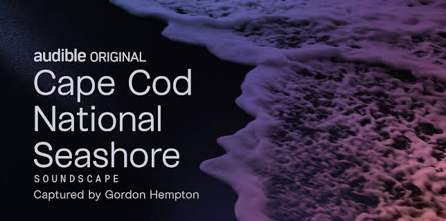 Cape Cod National Seashore (2020)