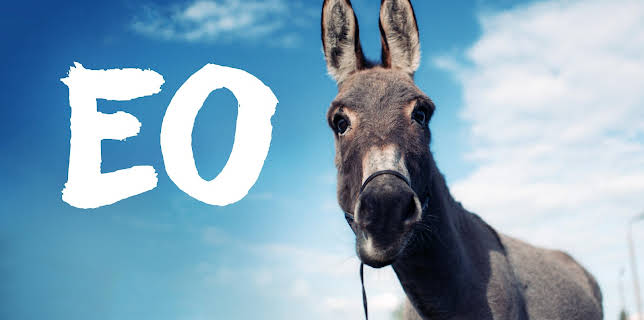 EO (2023)
