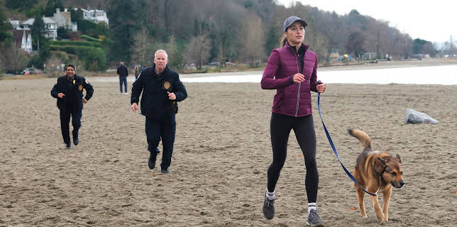 7:30 PM: New: Animal Control | E4 | 11/19 2025