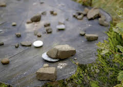 New: The Sycamore Gap Mystery 