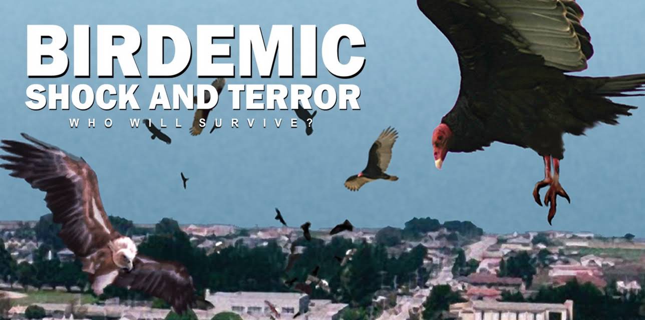 Birdemic: Shock and Terror (2008)