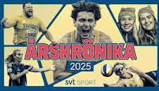 Sportens årskrönika