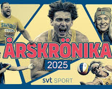 Sportens årskrönika