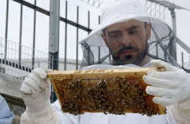 Down to Earth with Zac Efron: London