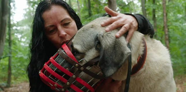 21:15: HundeMenschen (3/3) | HR Fernsehen | 12/7 2025