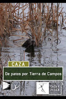 09:10: De patos por Tierra de campos | Caza y Pesca | 10/13 2026
