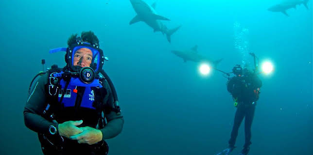 10:35 AM: Deadly 60 (S2) | CBBC | 2/3 2026