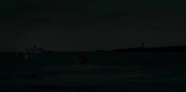 Trap for Cinderella (2013)