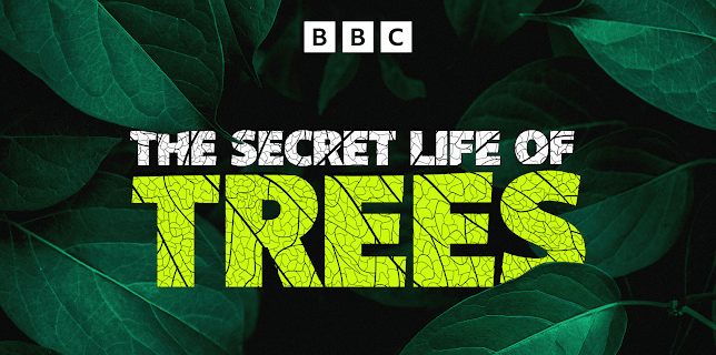 The Secret Life of Trees