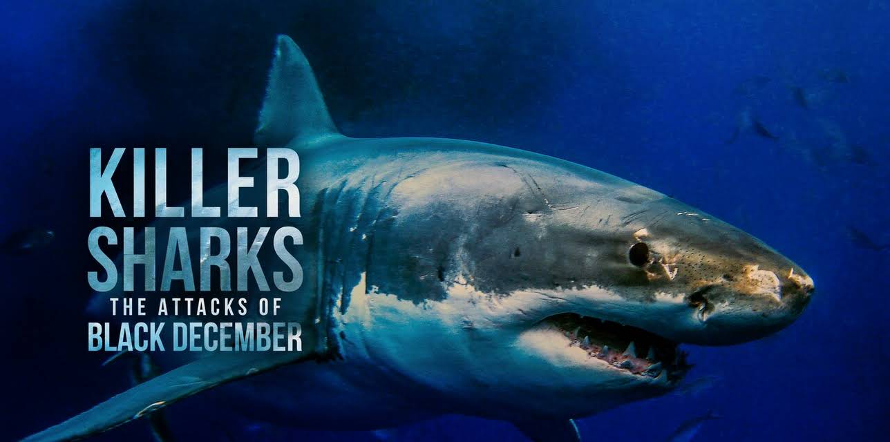 Killer Sharks: The Attacks of Black December (2011)