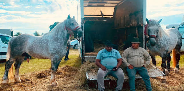 20:15: Länder - Menschen - Abenteuer | ARD Alpha | 11/3 2025