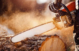 Pioneering Skills for Everyone: Modern Homesteading: Laborsaving Power Tools on the Homestead