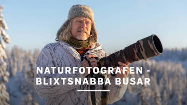 12:20: Naturfotografen - blixtsnabba busar | SVT1 | 7/7 2026
